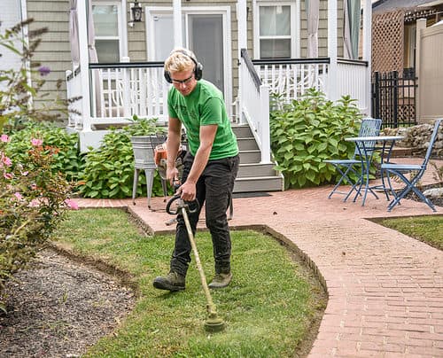 Gardener using edge trimmer on lawn